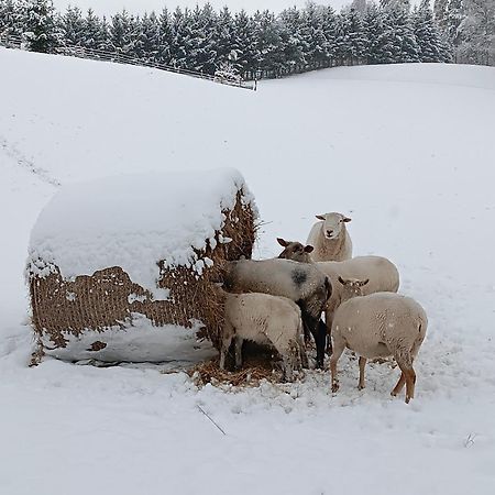 Ubytovani Na Vejminku Lägenhet Rtyne v Podkrkonosi Exteriör bild