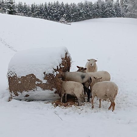 Ubytovani Na Vejminku Rtyne v Podkrkonosi Exteriör bild